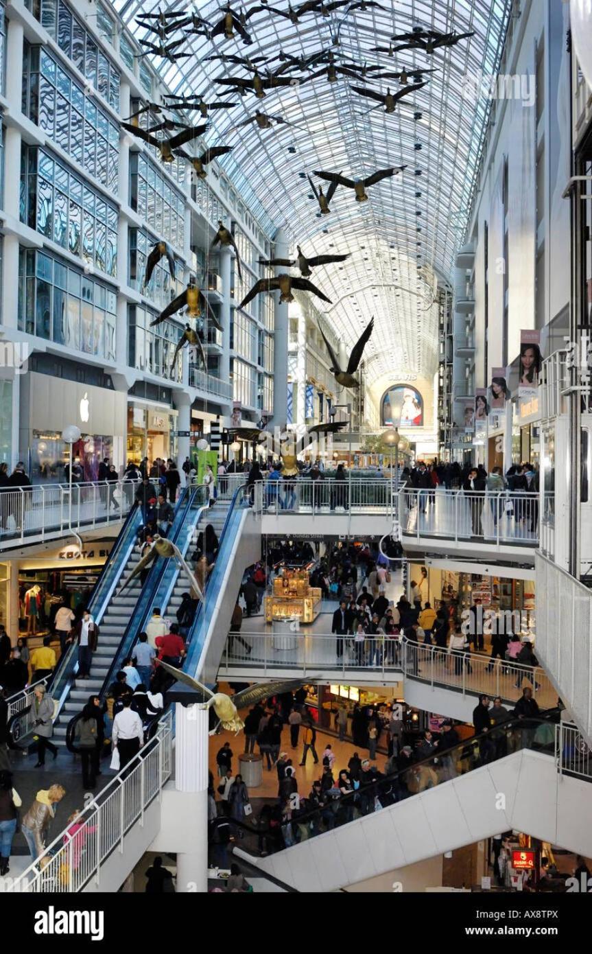 Cozy Private In Downtown Toronto, 15 Mins To Cn Tower, Steps To Subway *