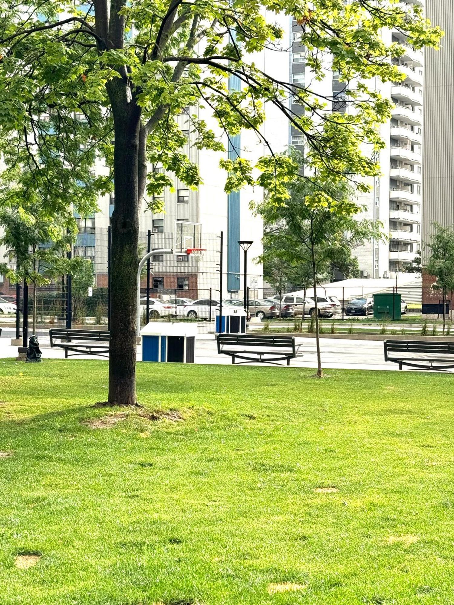 Cozy Private In Downtown Toronto, 15 Mins To Cn Tower, Steps To Subway Homestay *